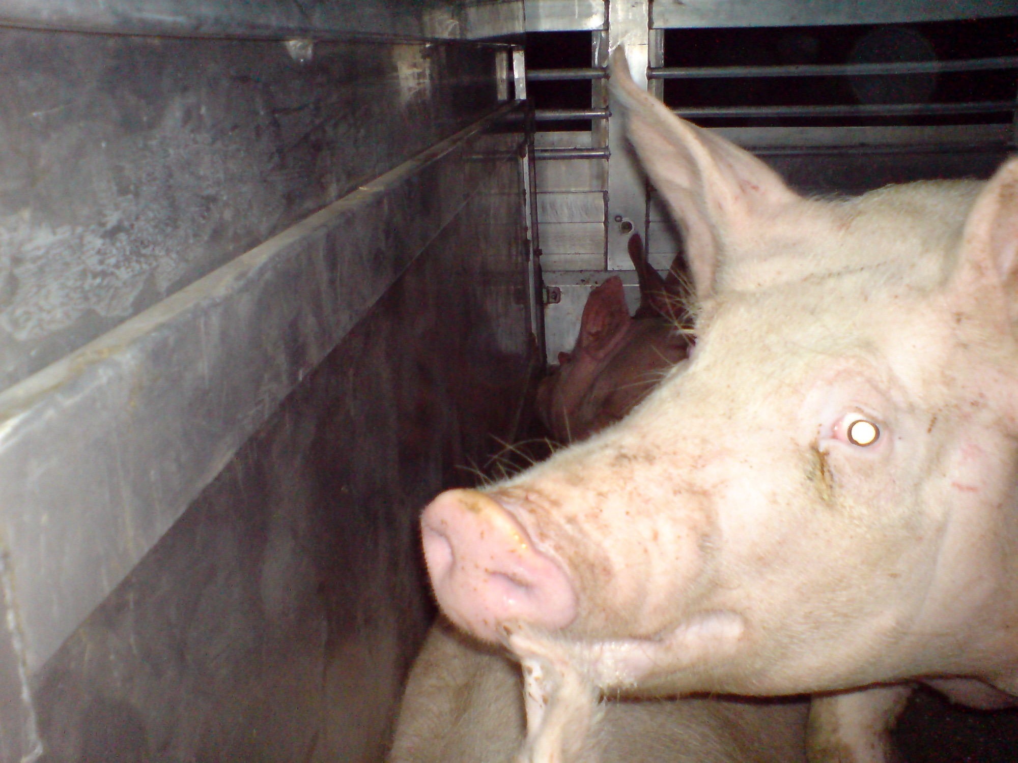 Loaded onto the truck